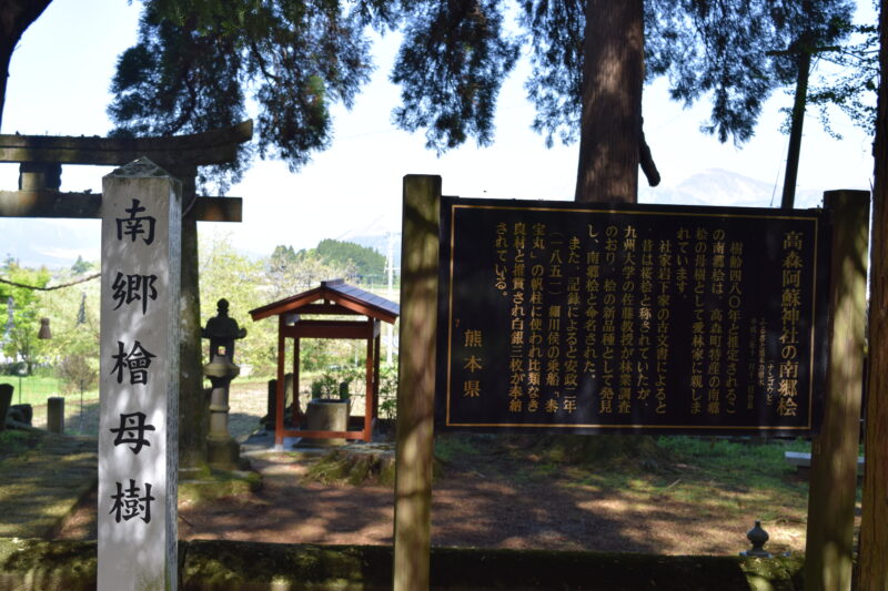 高森阿蘇神社_南郷檜母樹