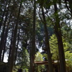 高森阿蘇神社_メディア6