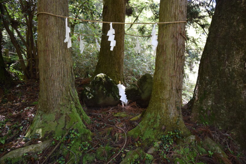 色見熊野座神社_入り口付近_杉や広葉樹に囲まれた注連縄