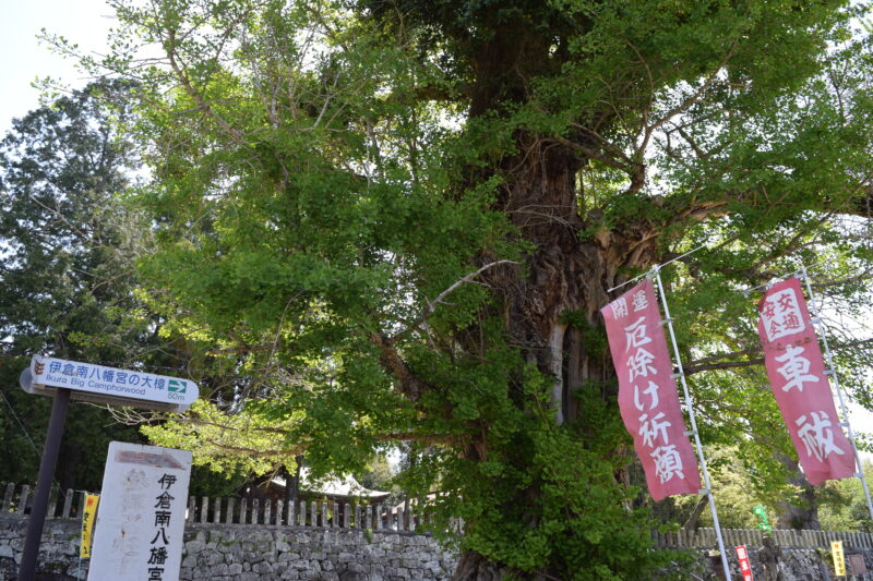 伊倉南八幡宮_駐車場2