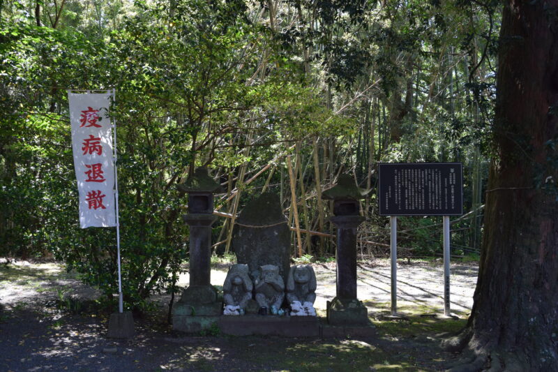 伊倉南八幡宮_伊倉南八幡宮のナギ1