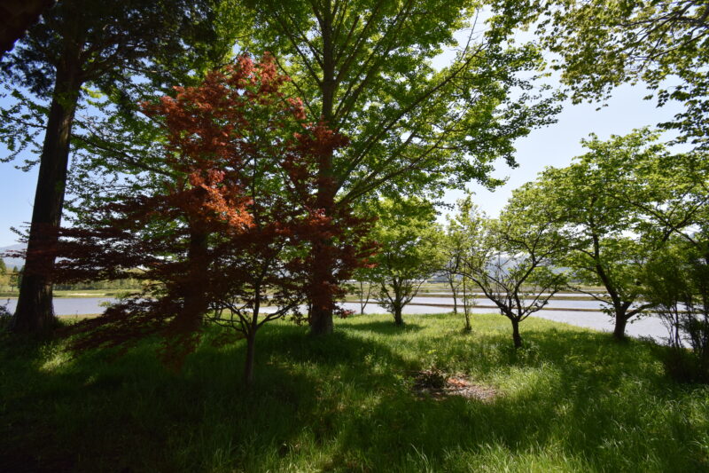 中郷天満宮_本堂近く