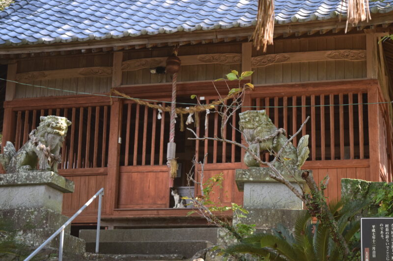 湯島諏訪神社_本堂