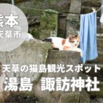 【諏訪神社】天草湯島の猫島観光で感じる歴史とパワースポット体験