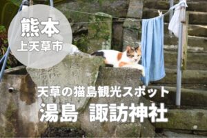 【諏訪神社】天草湯島の猫島観光で感じる歴史とパワースポット体験