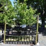 梅林天満宮_ギャラリー2