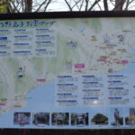 1.大島子諏訪神社_ギャラリー