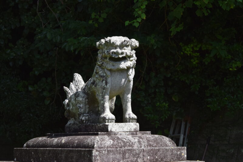 登立天満宮_参道狛犬2