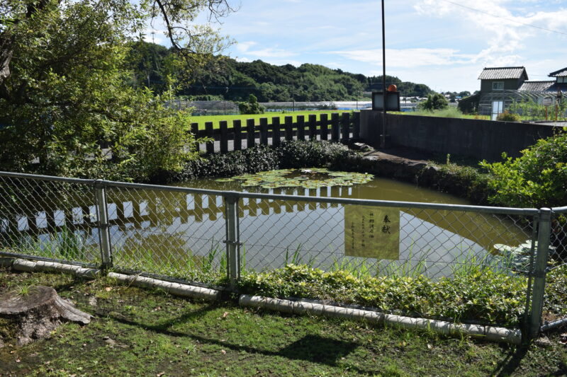 郡浦神社_小池1
