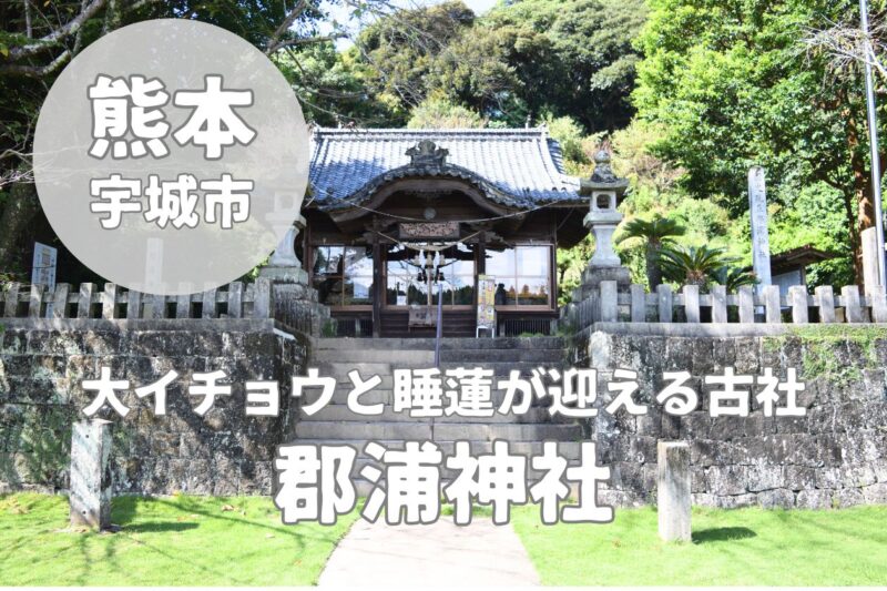 【郡浦神社】女神が鎮まる「肥後国三宮」と伝わる古社をレビュー