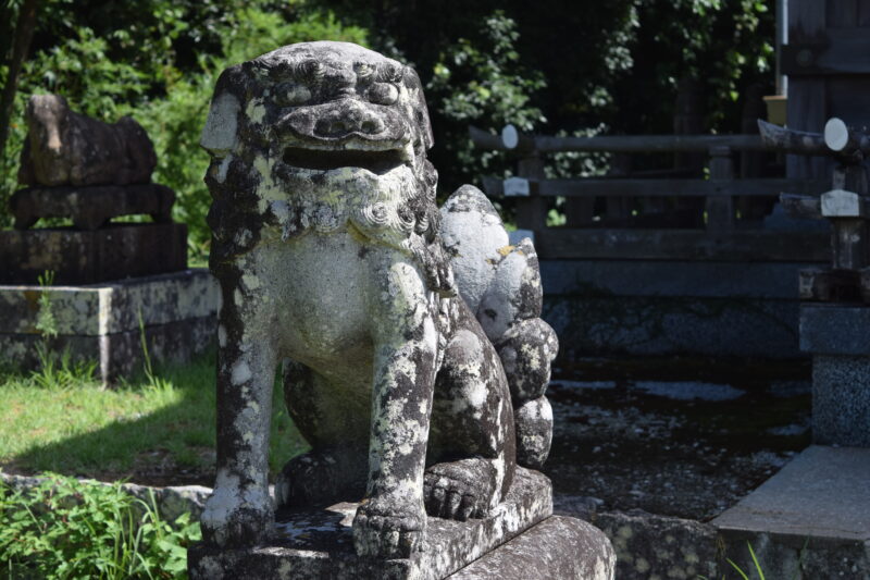 登立天満宮_本堂前狛犬2