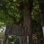 郡浦神社_ギャラリー3