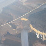 7.大島子諏訪神社_ギャラリー.