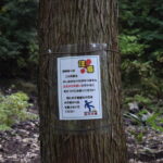 乙姫子安河原観音_ギャラリー5