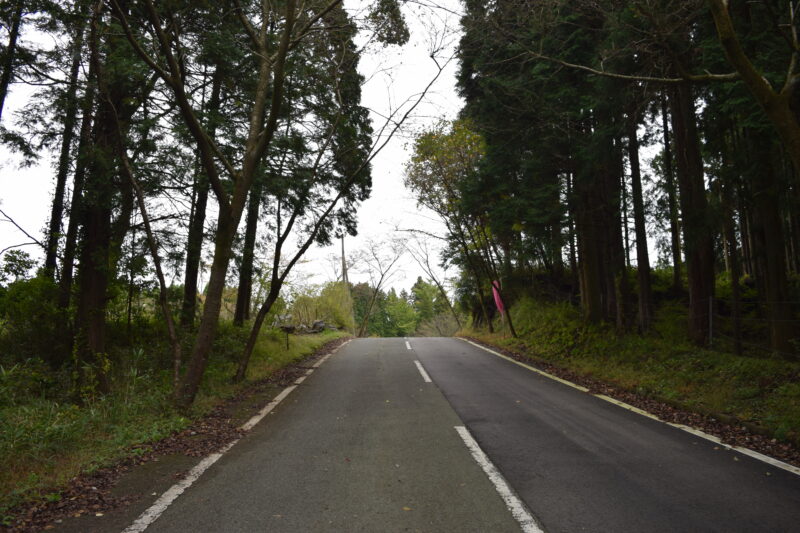 乙姫子安河原観音_経路