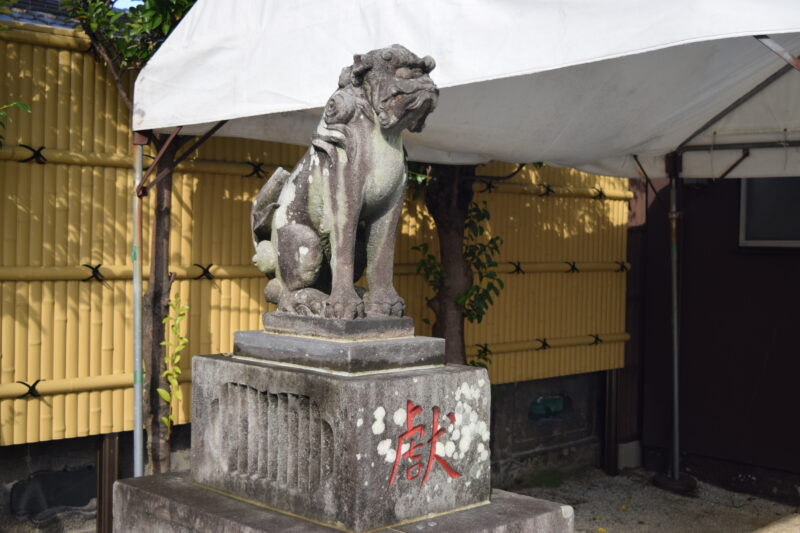 別所琴平神社_狛犬4