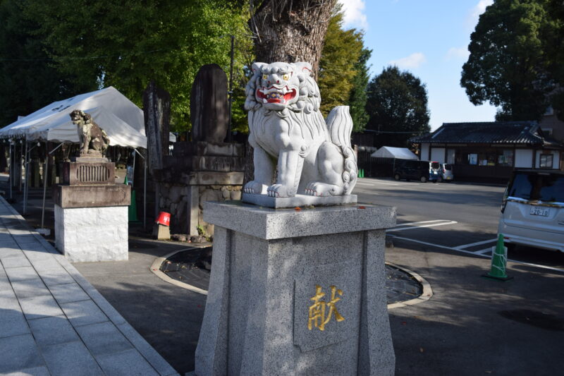 別所琴平神社_狛犬1
