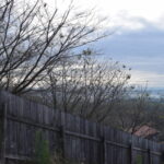 祈願合格神社_ギャラリー9