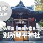 【別所琴平神社】商売繁盛・合格祈願のご利益で話題!御朱印・神様・見どころ紹介