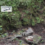 乙姫子安河原観音_ギャラリー4