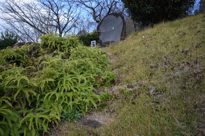 祈願合格神社_小野鏡石1