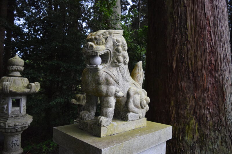 草部吉見神社_狛犬1