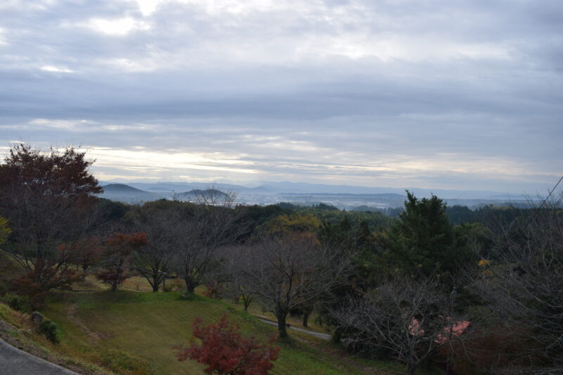 祈願合格神社_植木市の眺望