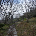 祈願合格神社_ギャラリー7