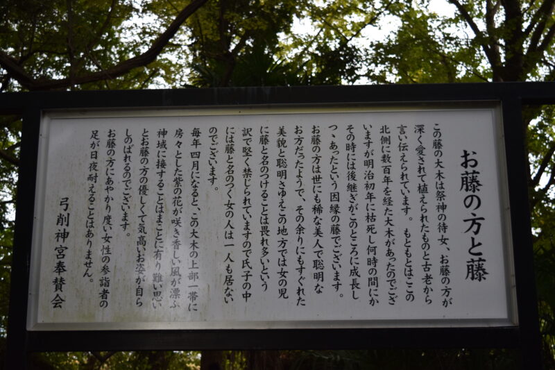 弓削神社_お藤の方と藤1