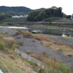 弓削神宮_ギャラリー8