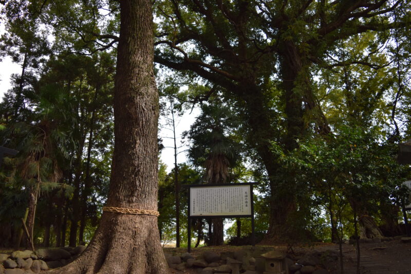 弓削神社_天神の由来2