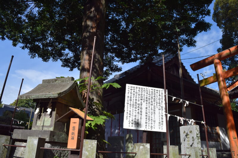 立田阿蘇三宮神社_御神木1