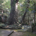 立田阿蘇三宮神社_ギャラリー4