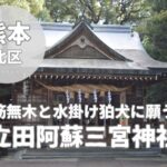 【立田阿蘇三宮神社】筋無木と水掛け狛犬に願う｜御朱印や境内をレビュー
