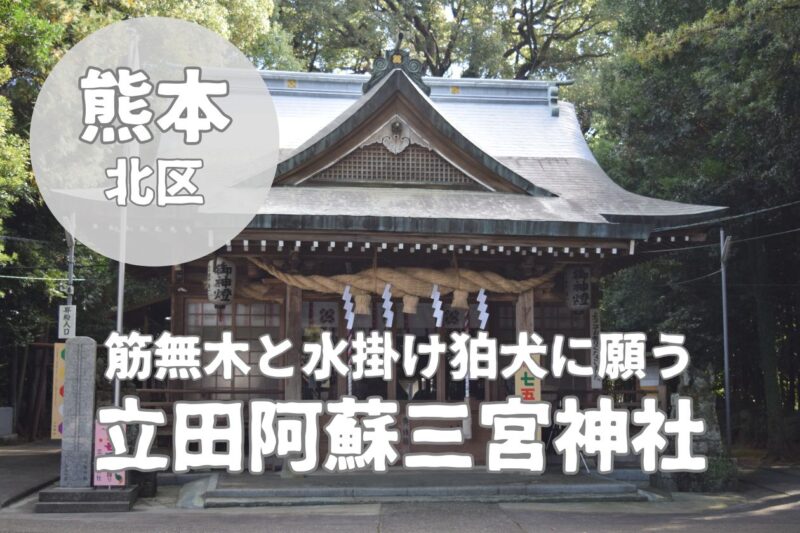 【立田阿蘇三宮神社】筋無木と水掛け狛犬に願う｜御朱印や境内をレビュー