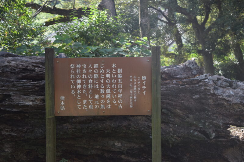 八王神社_姉イチイ1
