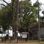 戸馳神社_ギャラリー6