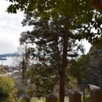 金比羅神社_ギャラリー5