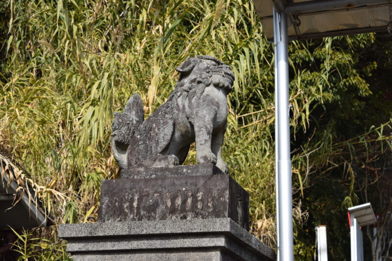 金比羅神社_狛犬2