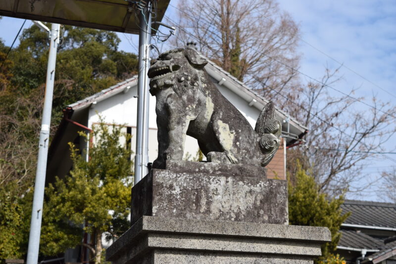 金比羅神社_狛犬1