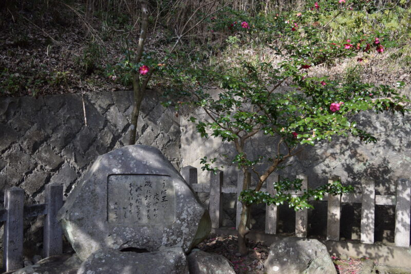金比羅神社_うば玉1