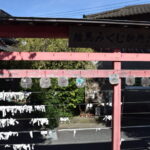 大歳神社_ギャラリー4