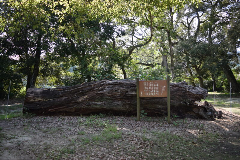 八王神社_姉イチイ2