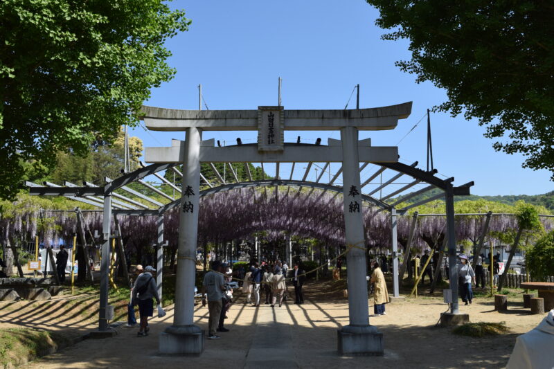 山田日吉神社_鳥居