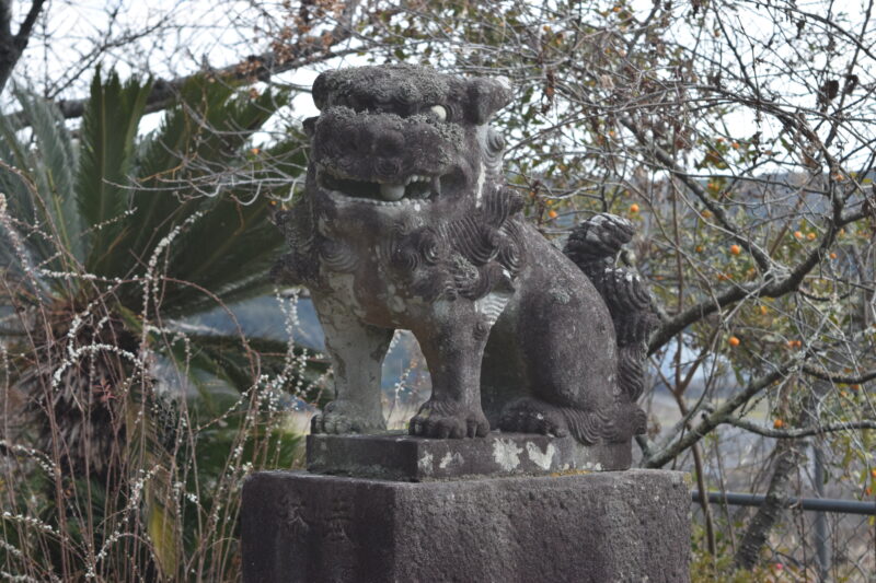 波多神社_狛犬2