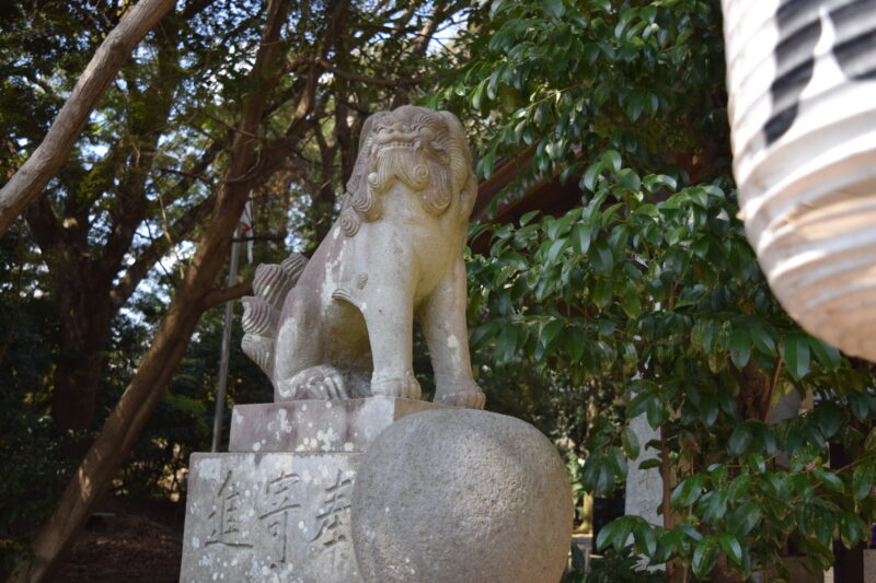 大津日吉神社_狛犬1