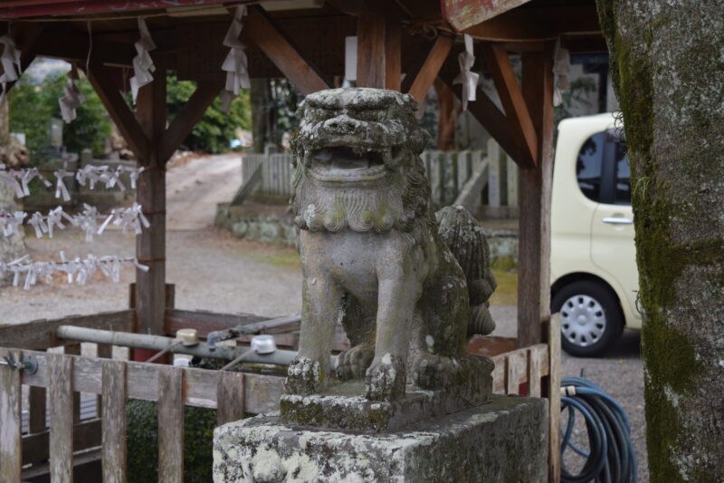 綱田神社_狛犬2