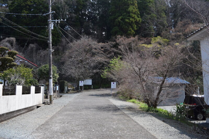 大津日吉神社_経路4