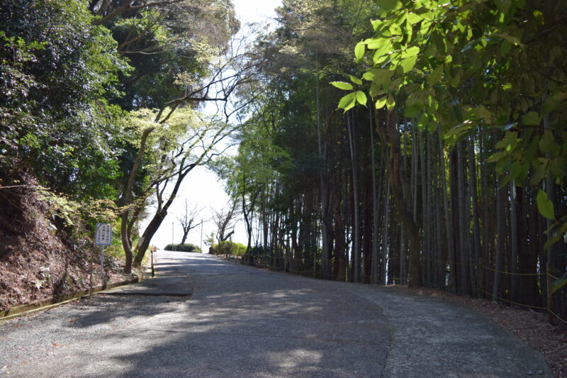 大津日吉神社_経路6