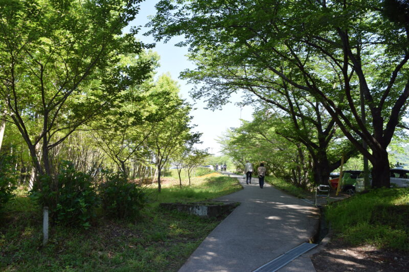 山田日吉神社_駐車場から参道